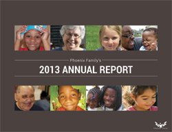 2013 Annual Report